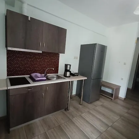 Anesis Luxury Apartament